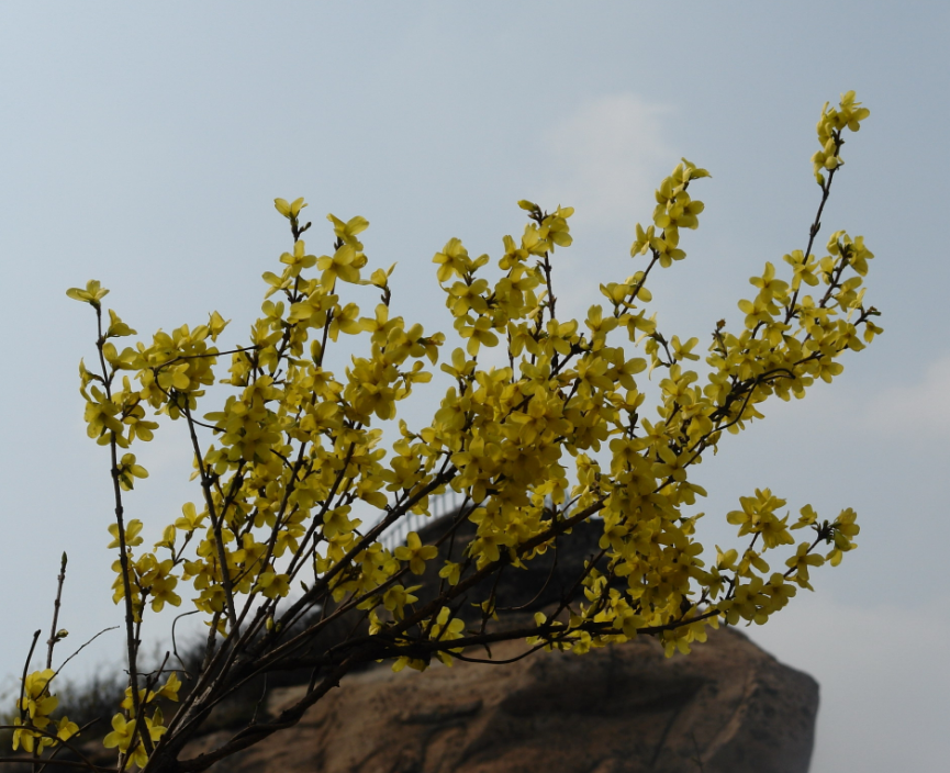 https://oss.xinyang.gov.cn/xinyang_jigongshan/upload/picture/picture1512960324.png