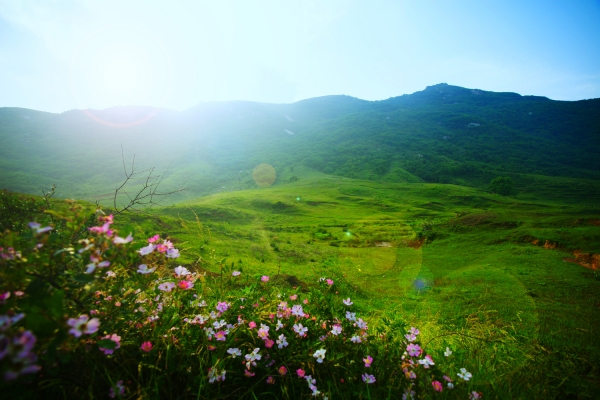 https://oss.xinyang.gov.cn/xinyang_jigongshan/upload/picture/picture1512961710.jpg