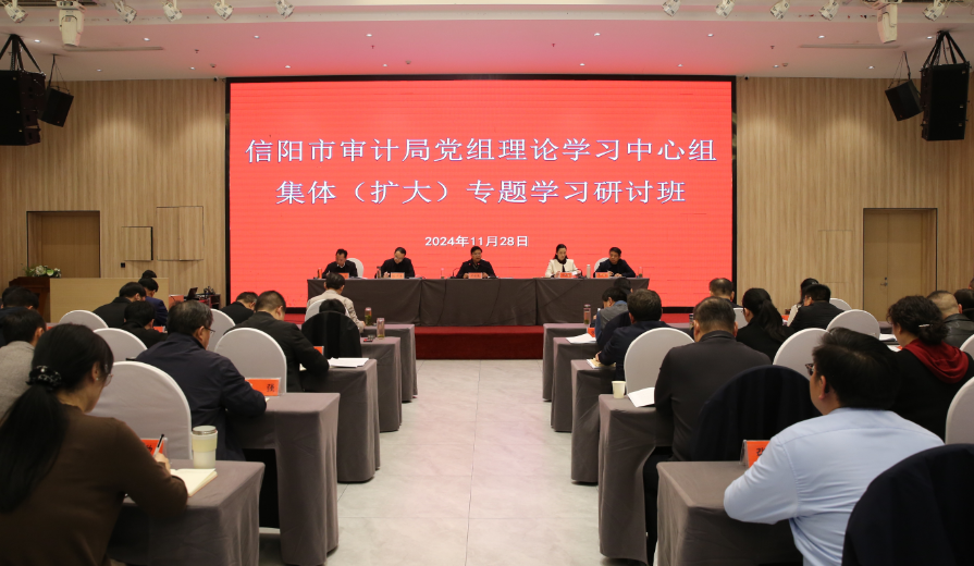 市审计局党组理论学习中心组（扩大） 开展专题学习研讨