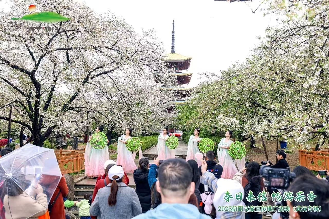 春日来信 畅游茶香——2025信阳文旅宣传推广活动（武汉专场）圆满举办