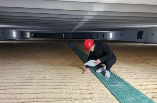 新县审计局关注粮食储备情况