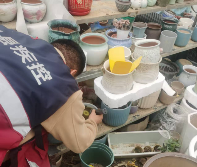 息县卫生健康委做好越冬蚊虫调查行动 筑牢全县夏季灭蚊传染病防控第一步