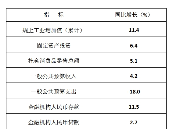 2025年元-2月全县主要经济指标