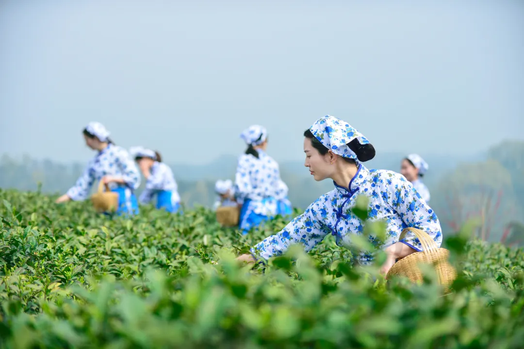 且将新火试新茶
