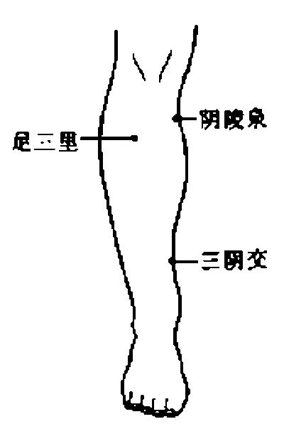 阴陵泉穴_下肢内侧穴位_【人体穴位图】人体穴位大全