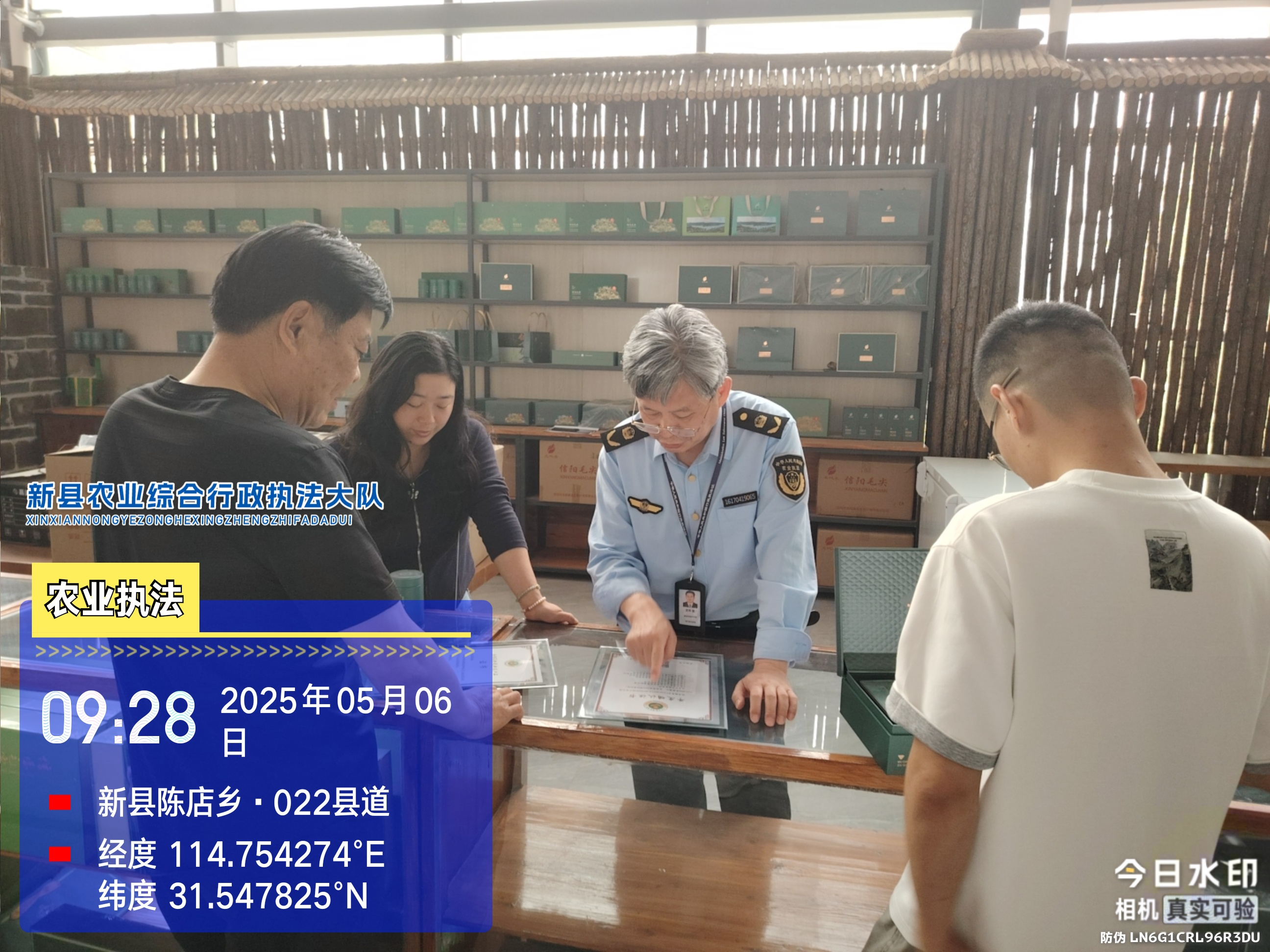 新县农业农村局开展春茶生产专项检查 护航信阳毛尖品质安全