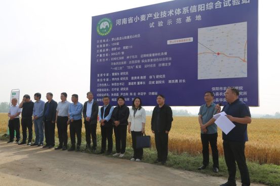 河南省小麦产业技术体系信阳小麦大面积单产提升技术现场观摩暨培训会在罗山成功举办