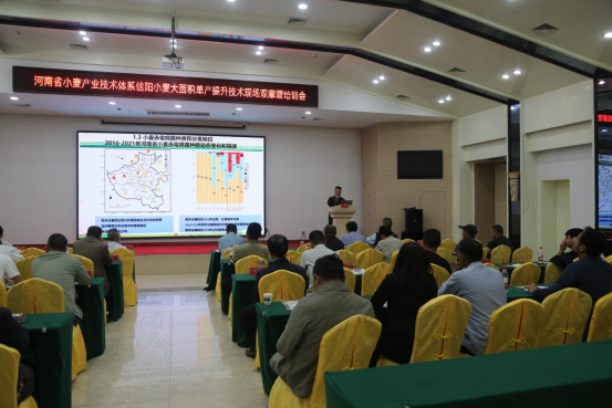 河南省小麦产业技术体系信阳小麦大面积单产提升技术现场观摩暨培训会在罗山成功举办