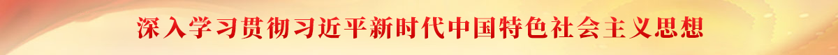 学习贯彻习近平新时代中国特色社会主义思想主题教育专题