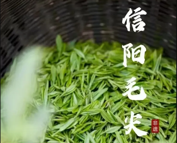 国际茶日：@浉河人，今天记得喝茶
