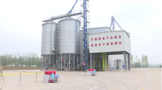 信阳市粮食和物资储备局开展2024年度粮食产后服务中心调查工作