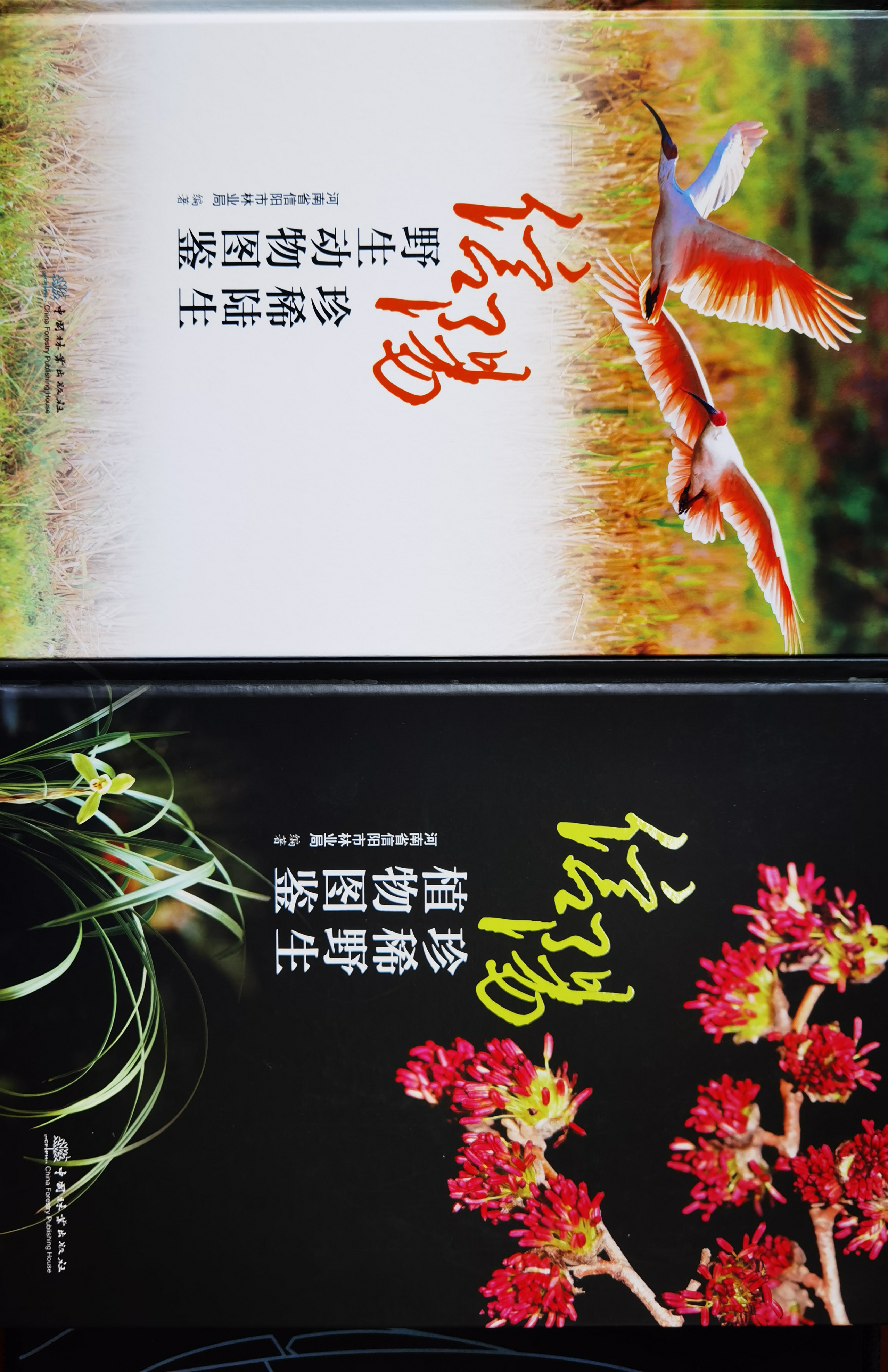 信阳珍稀野生动植物图鉴出版 揭秘215种生命档案