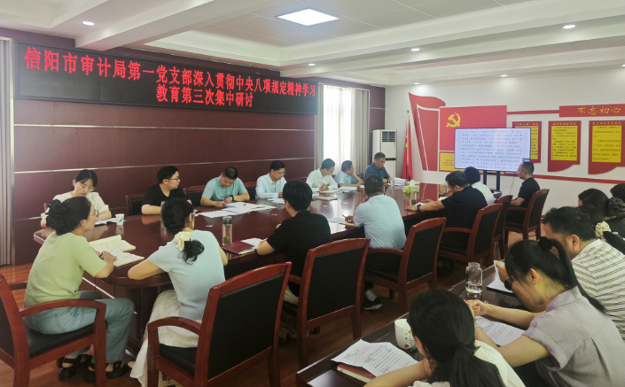 擦亮廉洁底色  筑牢审计防线 ——局机关各党支部积极开展深入贯彻中央八项规定精神学习教育专题研讨
