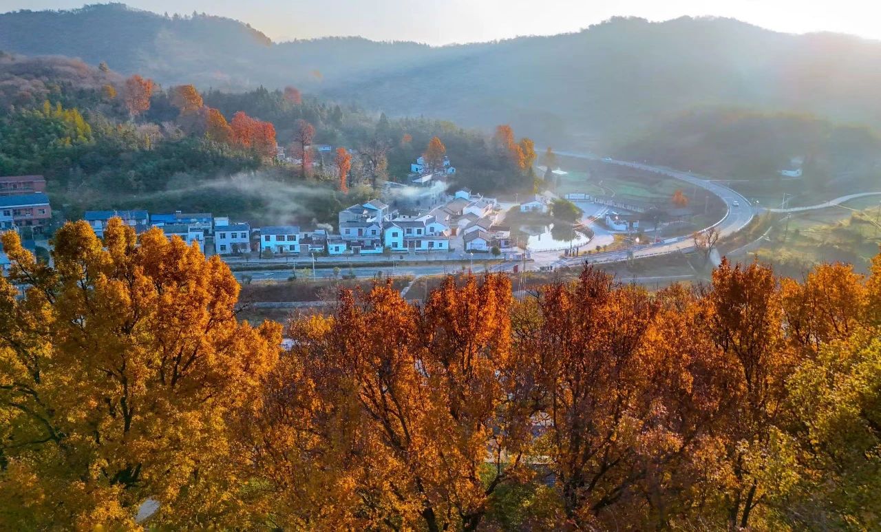 看新县一年盛景