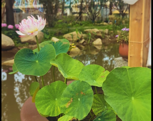 你好，浉河！