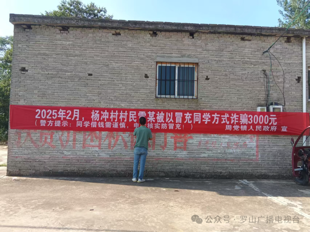 罗山县周党镇:多线并进 守护万家"钱袋子"