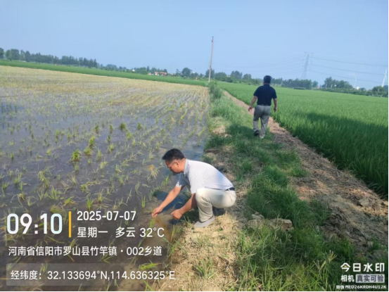 烈日炙田畴 农科解民忧
