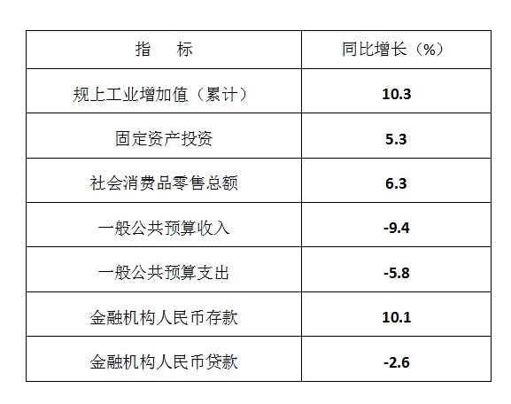 2025年元-5月全县主要经济指标
