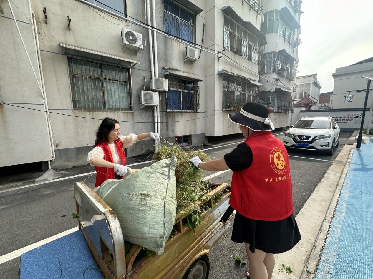 罗山县审计局深入社区开展“清理家园”志愿服务活动