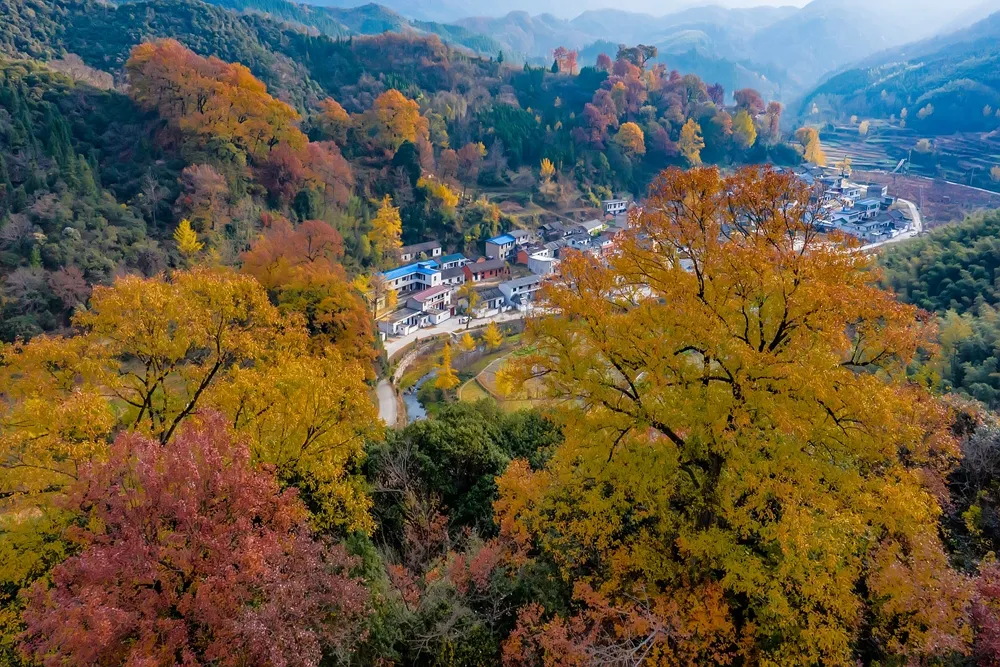 看新县一年盛景