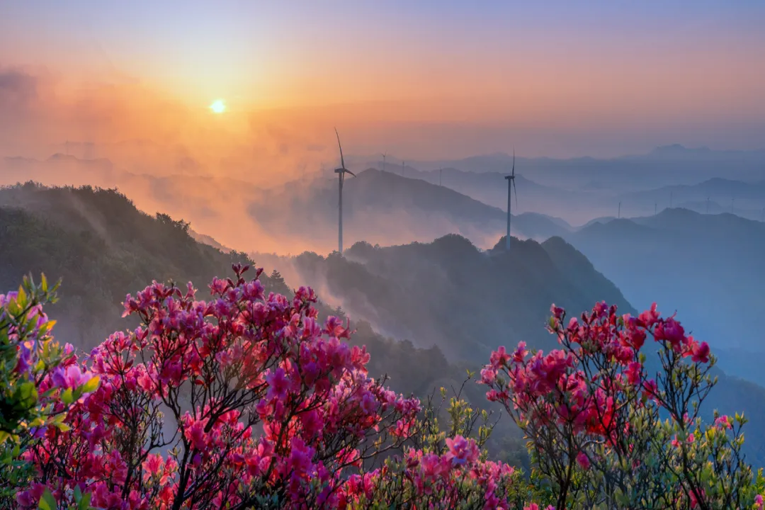 看新县一年盛景