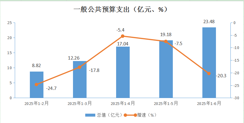 一般公共预算支出