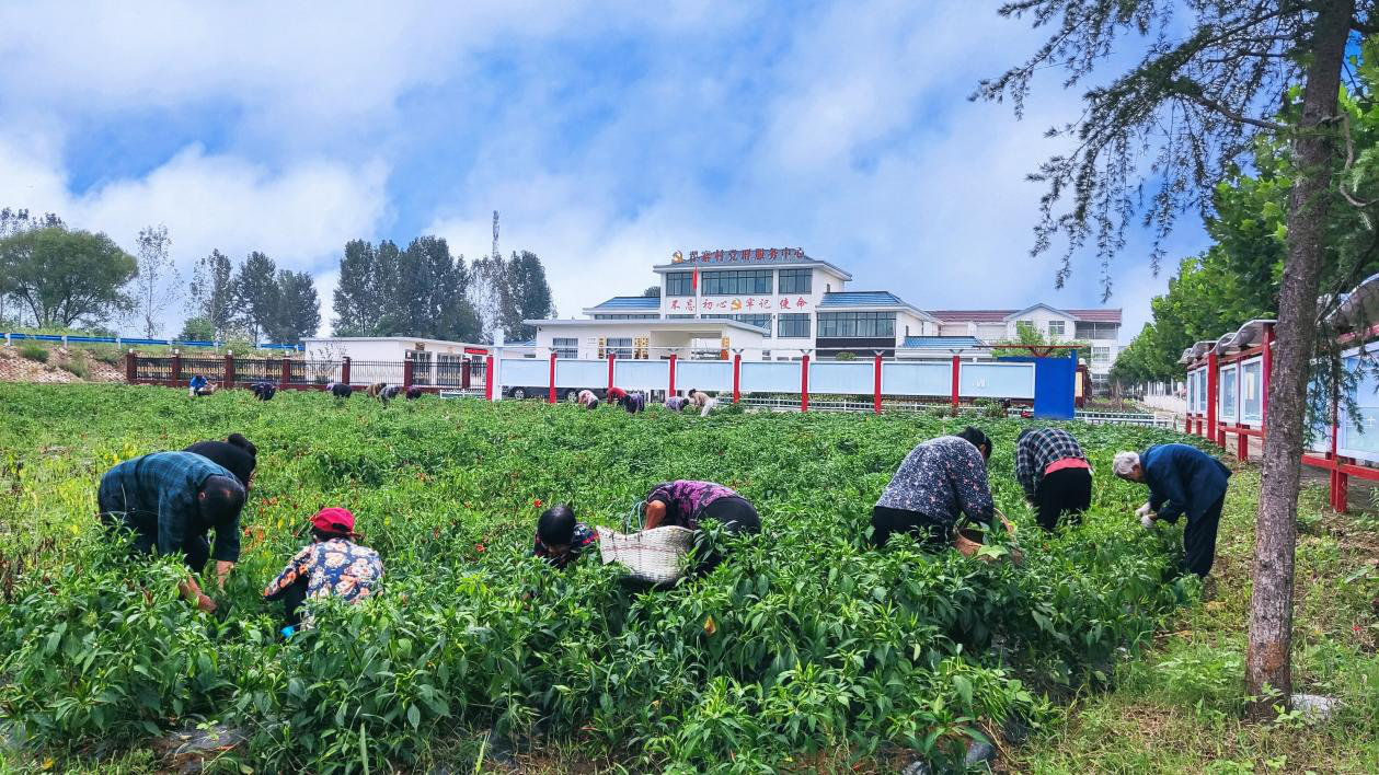 安定美丽社区  和谐幸福家园 ——平桥区平昌关镇翟寨移民新村“美好移民村”简介