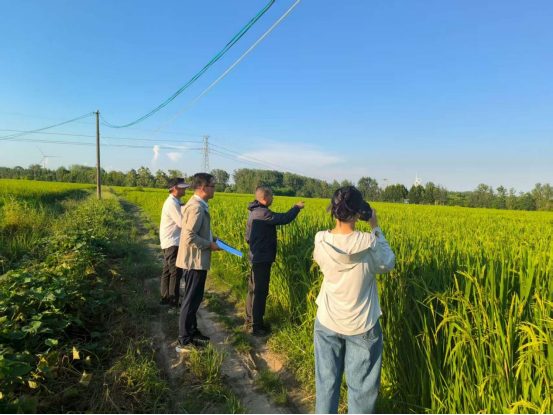 潢川审计：助力粮食增收好“丰”景