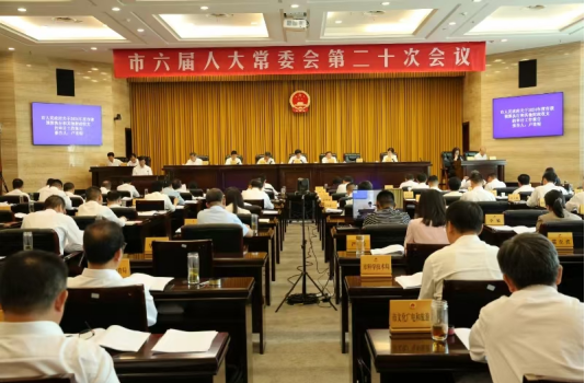 市审计局向市人大常委会作2024年度市本级预算执行审计工作报告