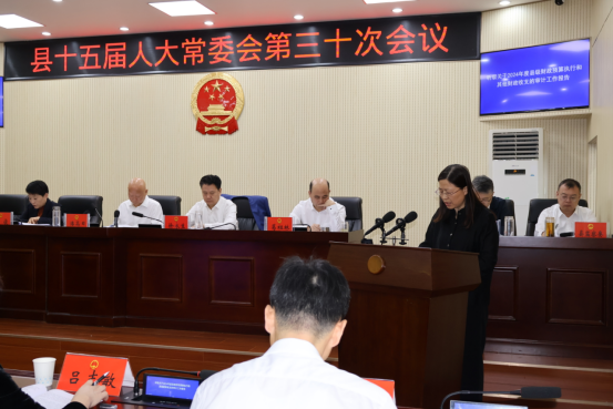 淮滨县审计局向县人大常委会作2024年度县本级预算执行审计工作报告