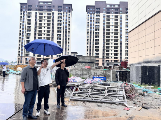 罗山审计：核查安置房项目 守护民生工程建设