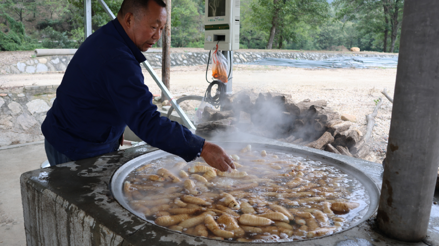 2079428457903041 image.png