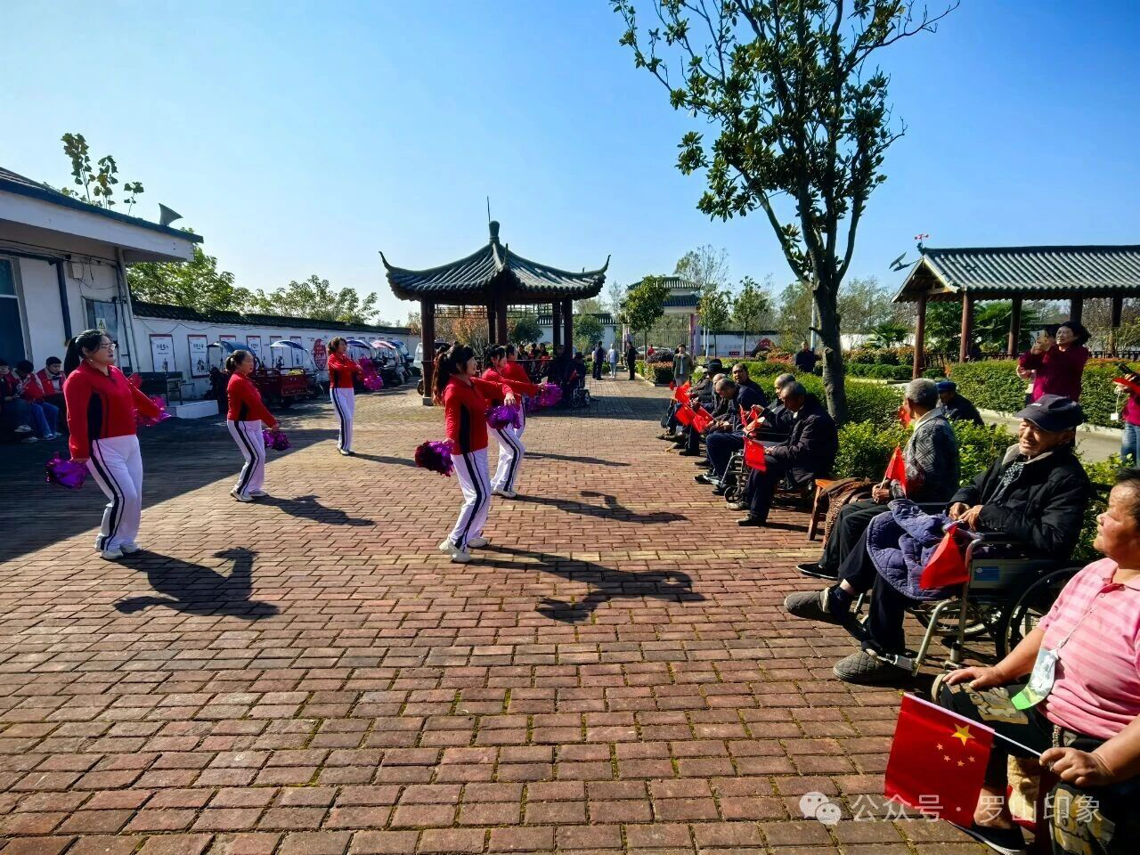 情暖桑榆 共庆重阳 —全市“敬老月”活动精彩纷呈