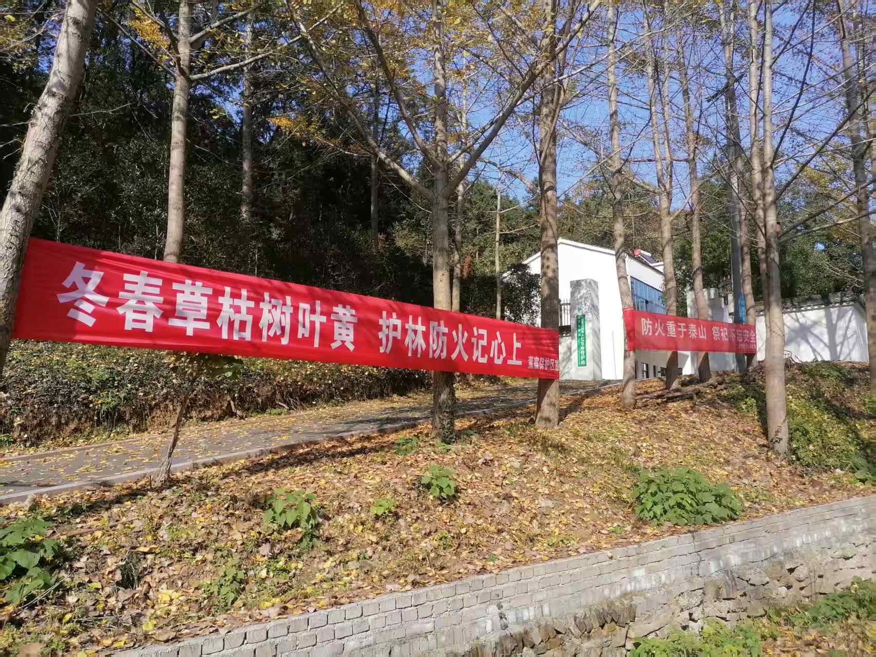 防火于未“燃” 董寨自然保护区织密森林“安全网”