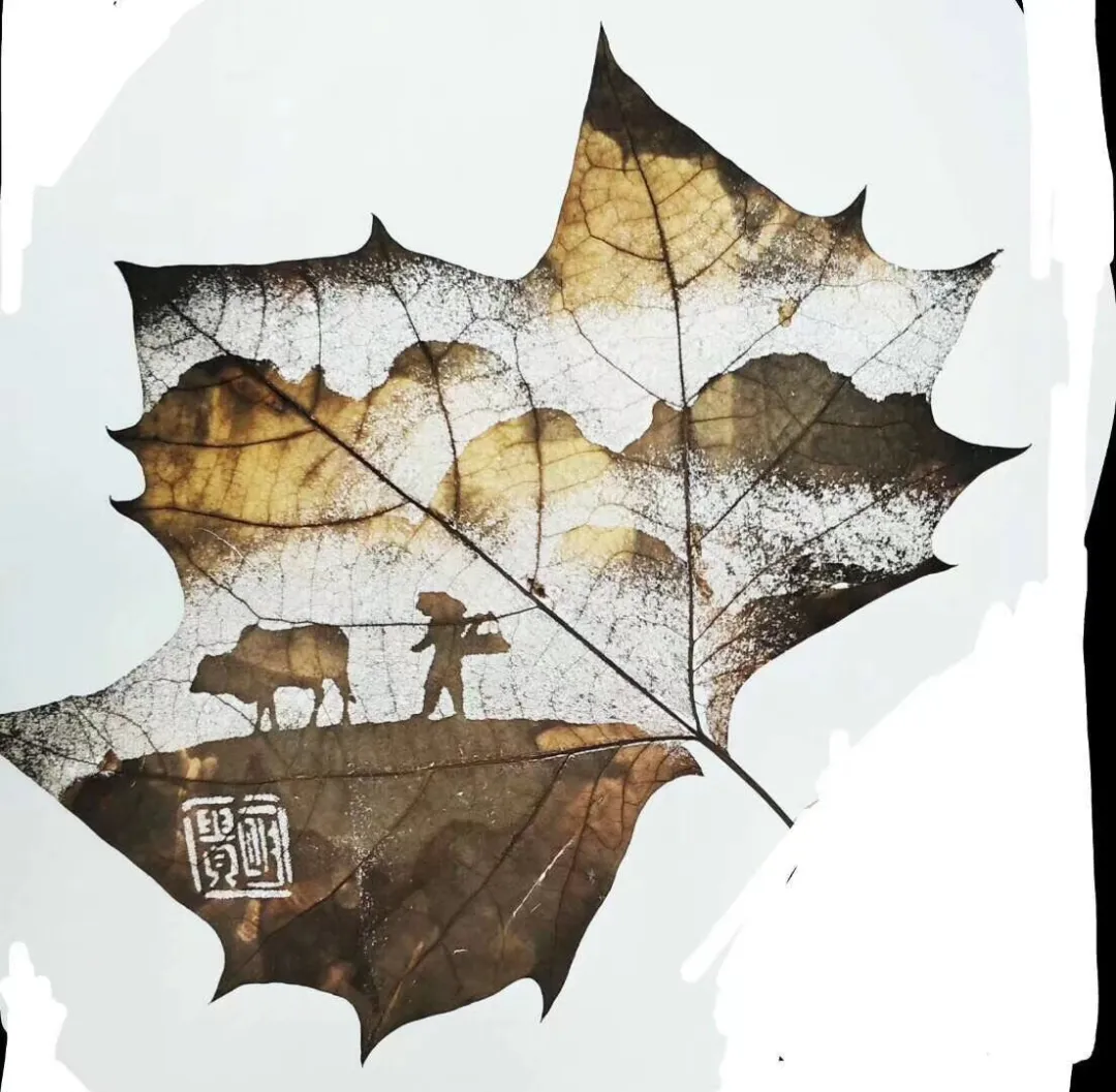 【非遗专栏】叶 雕 【非遗专栏】叶 雕