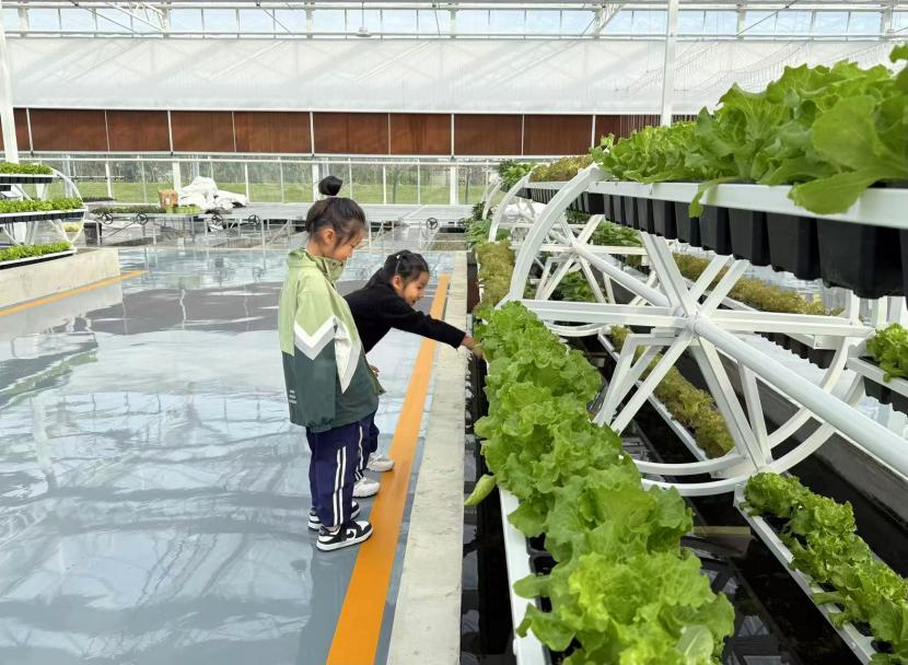 平桥区五里镇：智慧农业“种”出新图景 家门口就业铺就振兴路