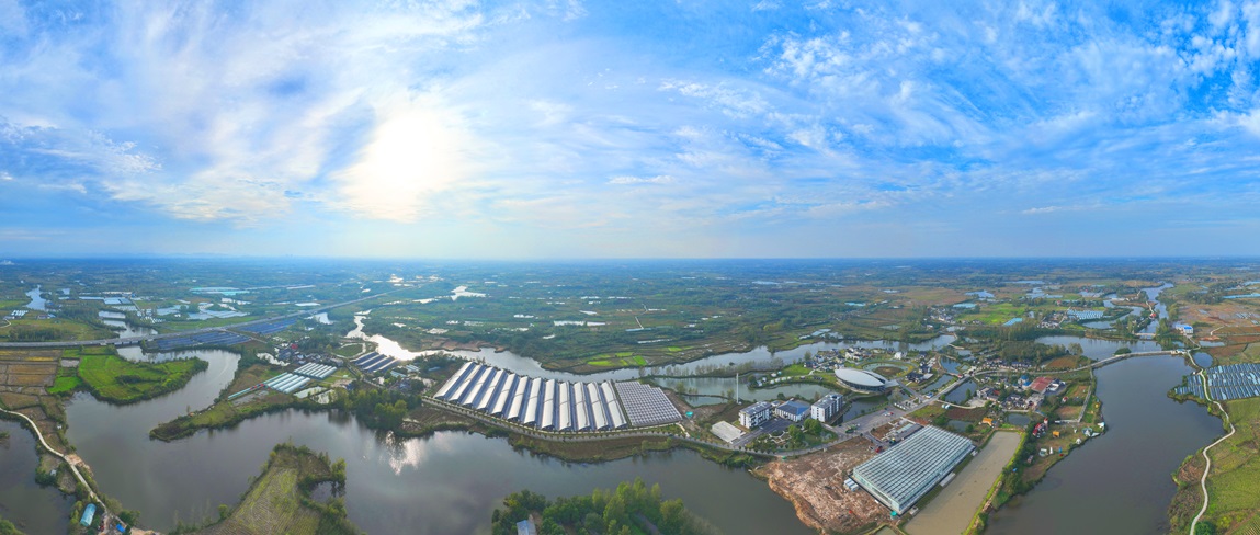 平桥区五里镇：智慧农业“种”出新图景 家门口就业铺就振兴路