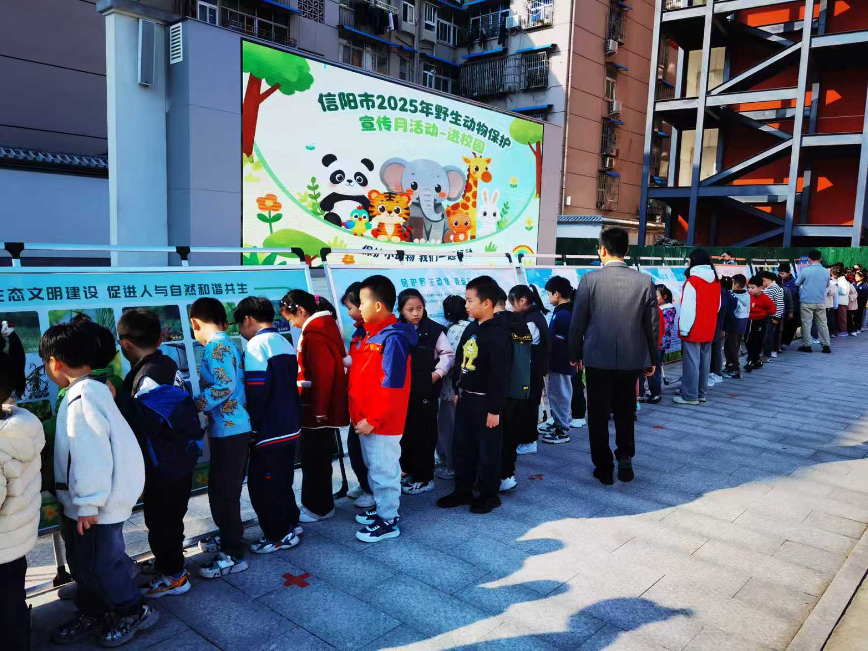 河南信阳紧密锣鼓开展保护鸟类专项行动
