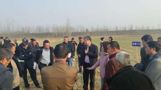 聚焦单产提升！<br>罗山县农科所召开小麦技术培训与观摩会
