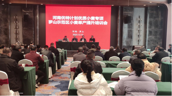聚焦单产提升！<br>罗山县农科所召开小麦技术培训与观摩会