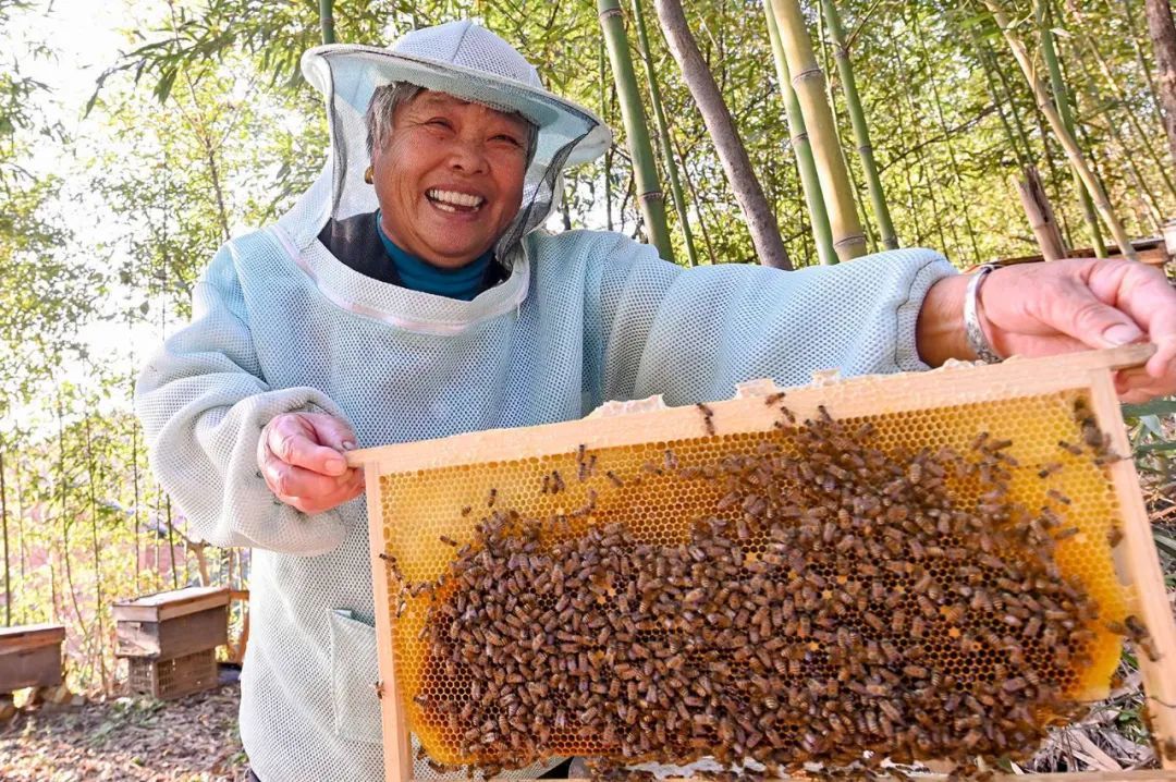 特色资源——土蜂蜜 特色资源——土蜂蜜