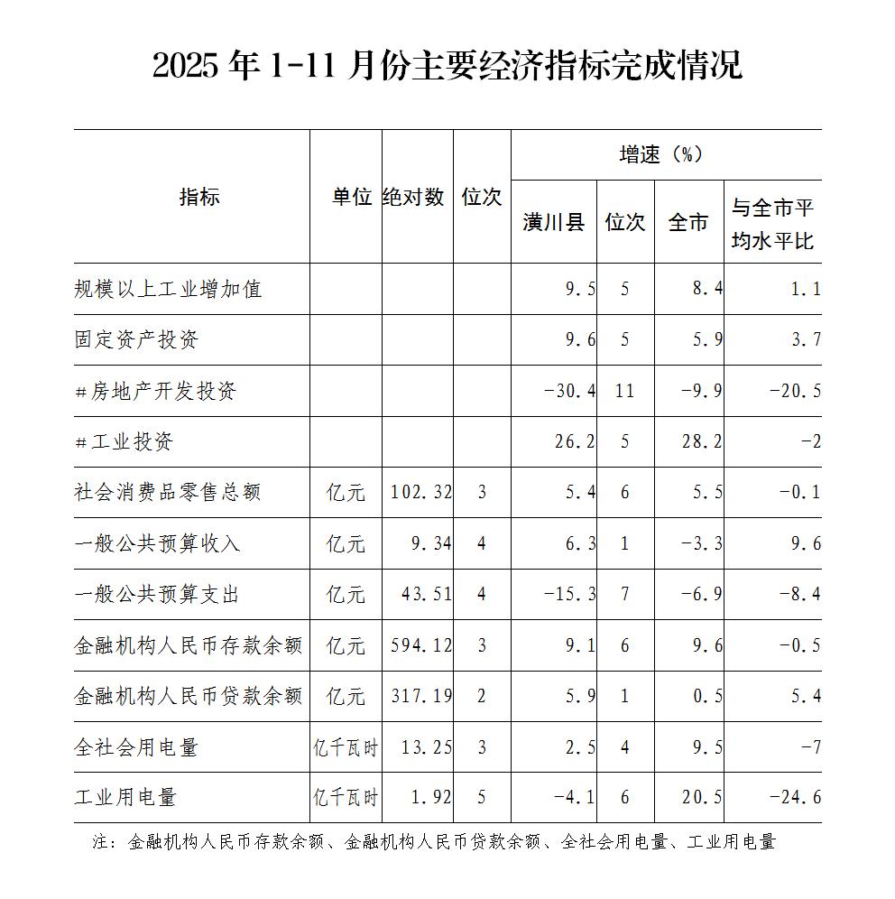 2025年1-11月份主要经济指标完成情况