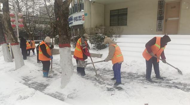 雪落即战护民生 雪净路通暖平桥 —— 平桥区城市管理局全力开展除冰扫雪保畅行动