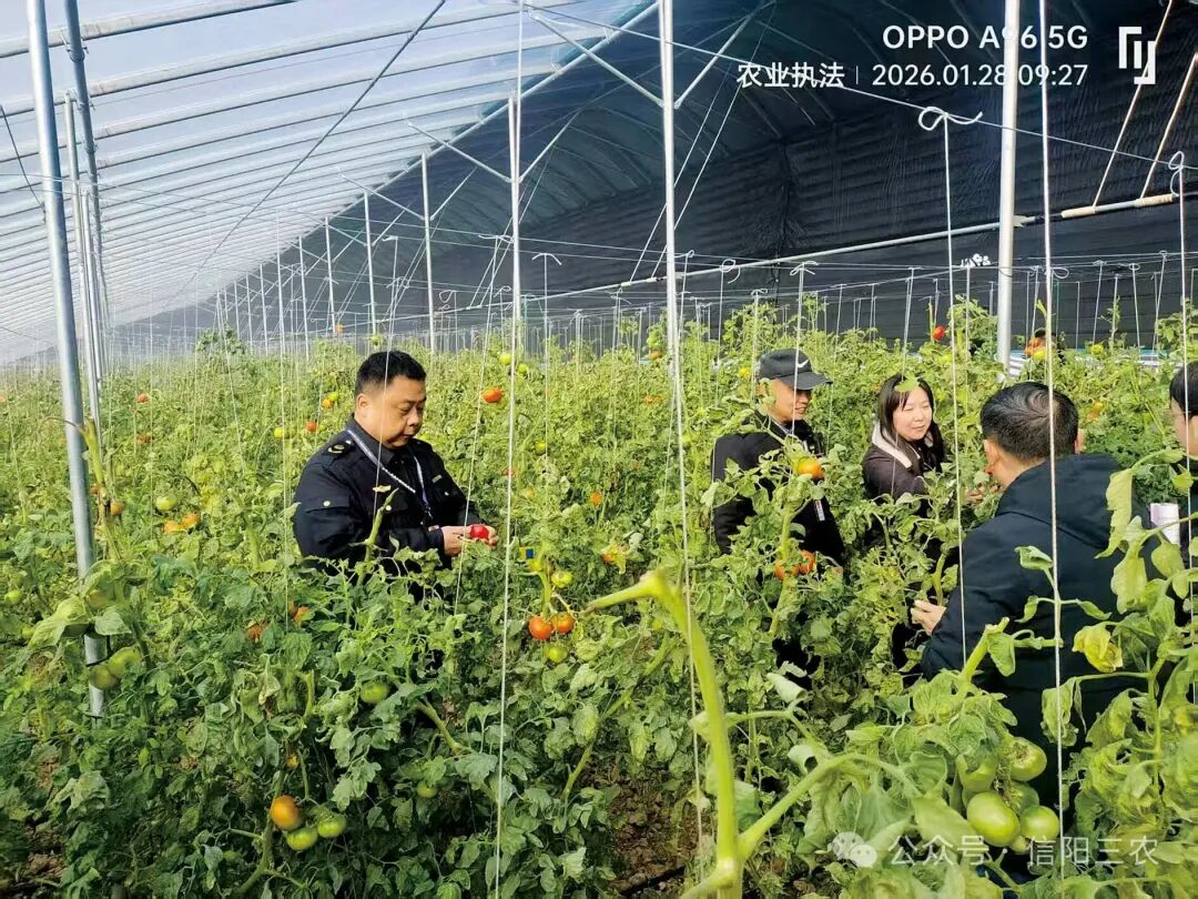 市农业综合行政执法支队组织开展禁限用农药专项执法检查