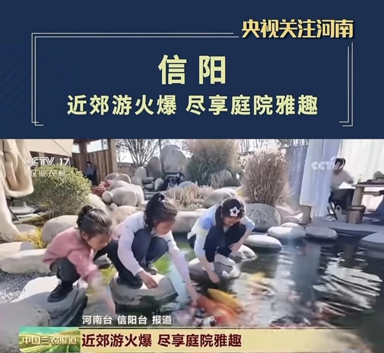 茶香贺新春 欢乐信阳年——2026年春节假期信阳文旅市场情况综述