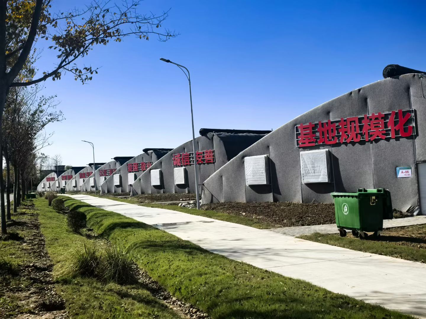 平桥区五里镇:春和景明硕果香 “棚”勃发展绘新景 平桥区五里镇:春和景明硕果香 “棚”勃发展绘新景