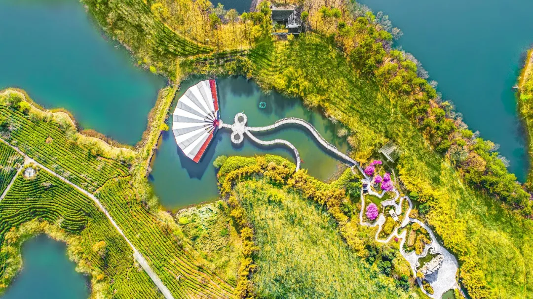 一抹鹅黄染山湖 | 南湾湖的春天,美到极致