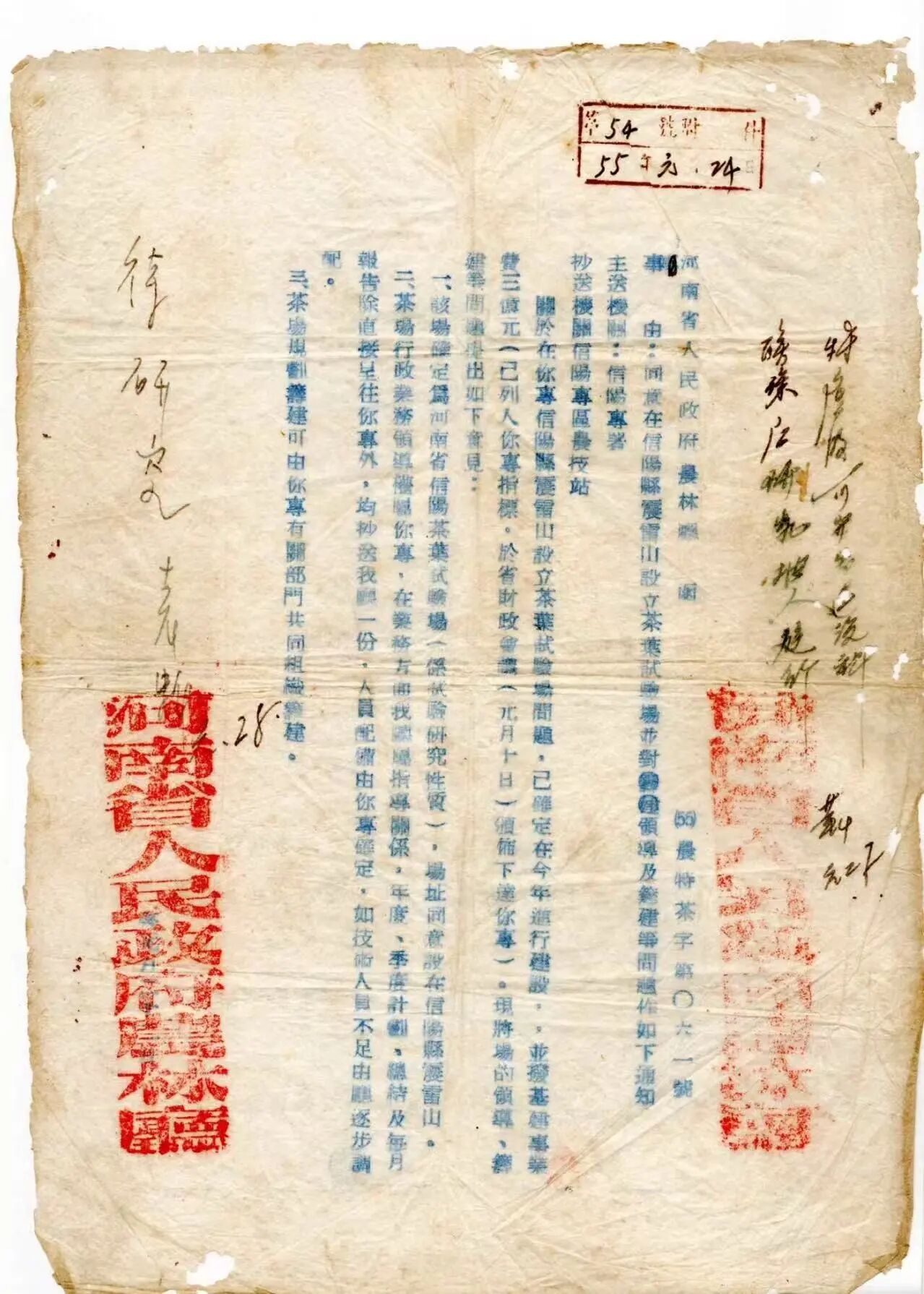 震雷山老旱茶:百年光阴,一盏真味 震雷山老旱茶:百年光阴,一盏真味