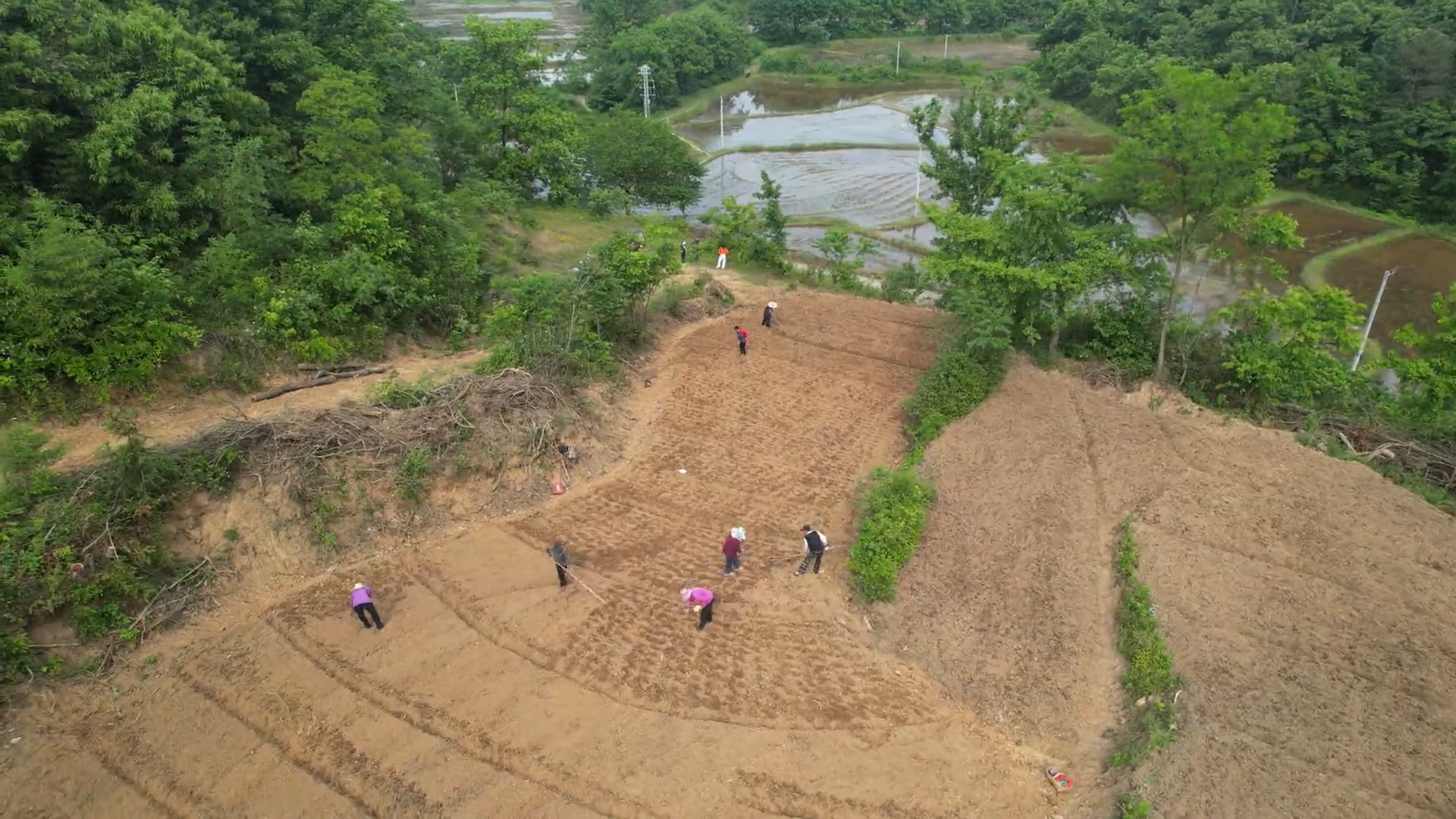 新县吴陈河镇多元种植绘就乡村振兴新图景
