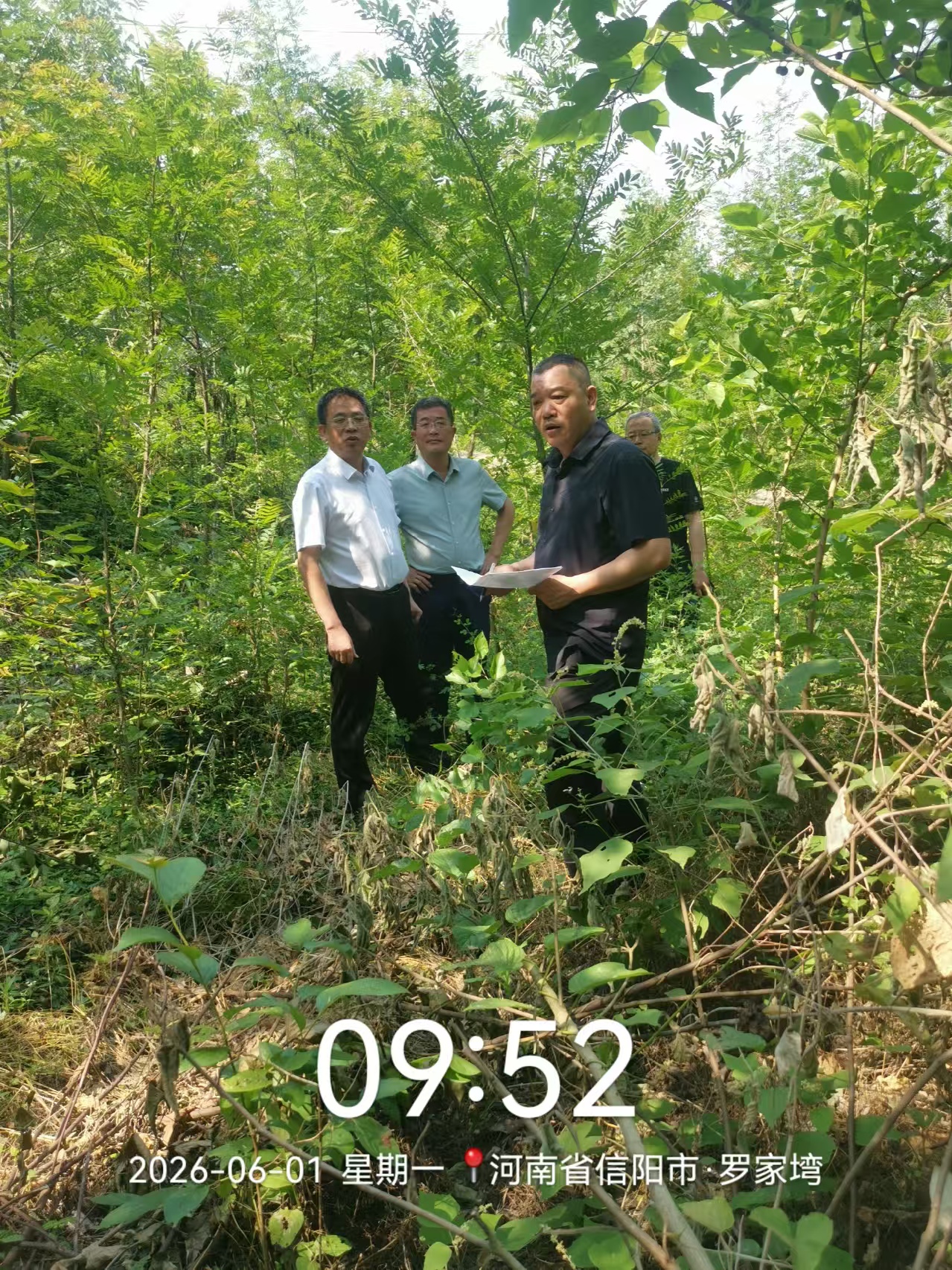 罗山县自然资源局：开展废弃矿洞专项排查 筑牢安全生态双重防线